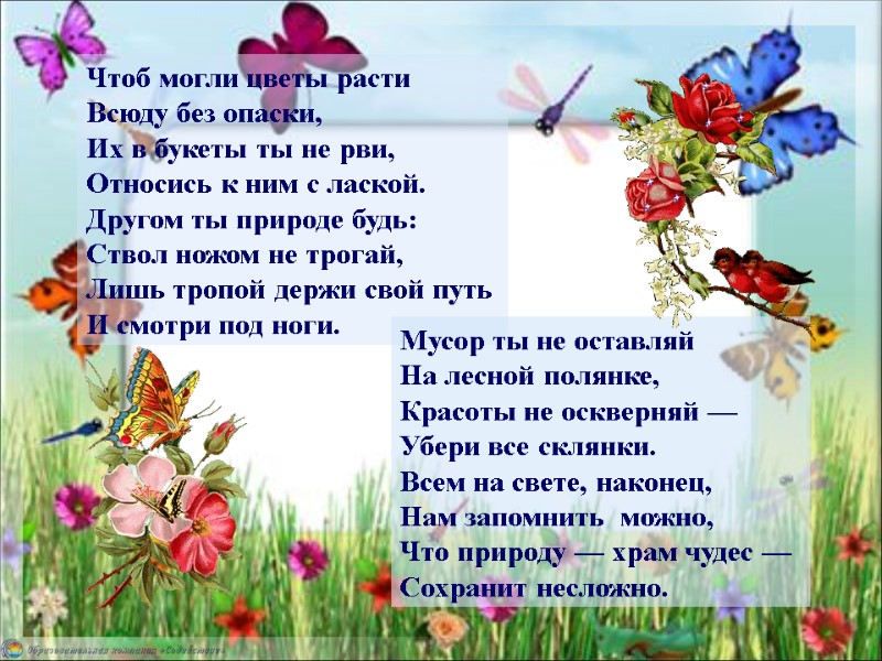 Чтоб могли цветы расти Всюду без опаски, Их в букеты ты не рви, 